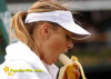banananannnnnnnnnnnnnnn.jpg 19.76 KB