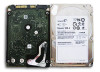 sas2.jpg 45.6 KB