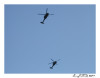 040312_diary.jpg 10.91 KB
