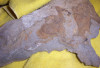 05aMar2009_013.jpg 102.3 KB