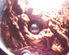 100_1378.JPG 233.76 KB