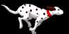 AG_Dog.gif 6.58 KB