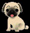 AG_puppy.gif 6.34 KB