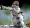 AustrianArmy1.jpg 25.64 KB