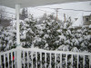 DSC00925.JPG 592.75 KB