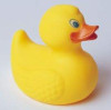 Duck.jpg 4.5 KB
