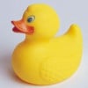 Duck_left.jpg 6.17 KB