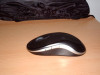 IMAG0666.jpg 443.92 KB