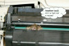 ManMouse.jpg 118.19 KB