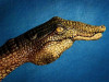 PythonHand3.jpg 21.13 KB