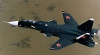 SFS_thumb.jpg 5.85 KB