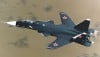 SFS_thumb.jpg 10.5 KB