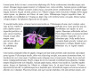 Wrapped_text.jpg 206.14 KB