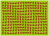 almond_illusion.gif 133.96 KB