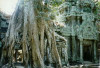 angkor1.jpg 38.94 KB