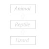 animal.jpg 20.38 KB