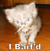 barf%27d.jpeg 24.46 KB