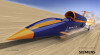 bloodhound.jpg 46.96 KB