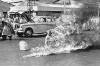 budist_monk_on_fire.jpg 101.11 KB