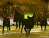 dog-images.jpg 3.09 KB