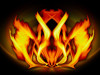 fire.jpg 113.97 KB