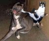 freakout.jpg 13.12 KB