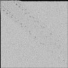 gauss.jpg 531.22 KB