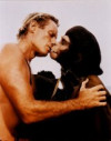 heston-apekiss_01.jpeg 8.04 KB