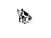 hollyspig.jpg 4.21 KB
