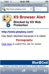 k9001.jpg 37.27 KB