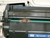 mousehp.jpg 29.35 KB