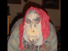 picture.pl_.jpg 10.26 KB