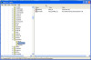 regedit_parameters.jpg 233.1 KB