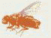 retiree3.GIF 9.75 KB
