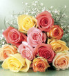 roses.jpg 30.47 KB