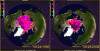 sea-ice-comp.jpg 366 KB