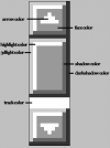 xgjeq0.gif 5.43 KB