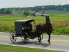 200px-Lancaster_County_Amish_03.jpg 11.56 KB