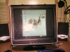 IMAG0107.jpg 352.22 KB