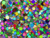circles.jpg 126.85 KB