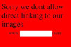 nohotlink.jpg 29.68 KB