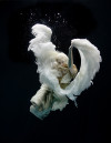 pretty-angel.jpg 120.65 KB