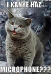 tumblr_kq8tlerssZ1qa3i8uo1_500.jpg 48.95 KB