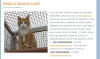 IE8Screenshot.JPG 93.52 KB