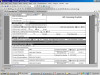 Main_Report_Preview1.jpg 84.39 KB