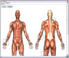 Selection_Area.JPG 49.83 KB