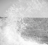 background.gif 187.11 KB