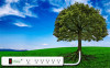 ecostrip01.jpg 28.44 KB