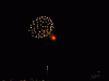 firework_0.gif 23.63 KB