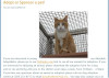 ie7screenshot.JPG 73.03 KB